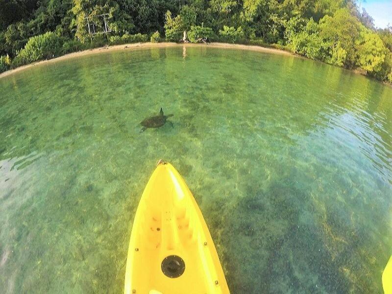 Sumatra Ecolodge Sungaipisang Dış mekan fotoğraf