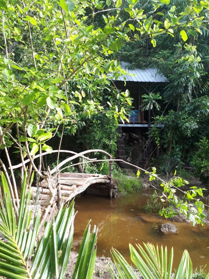 Sumatra Ecolodge Sungaipisang Dış mekan fotoğraf