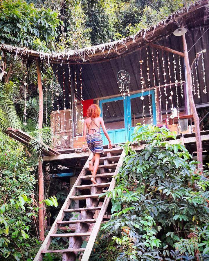 Sumatra Ecolodge Sungaipisang Dış mekan fotoğraf