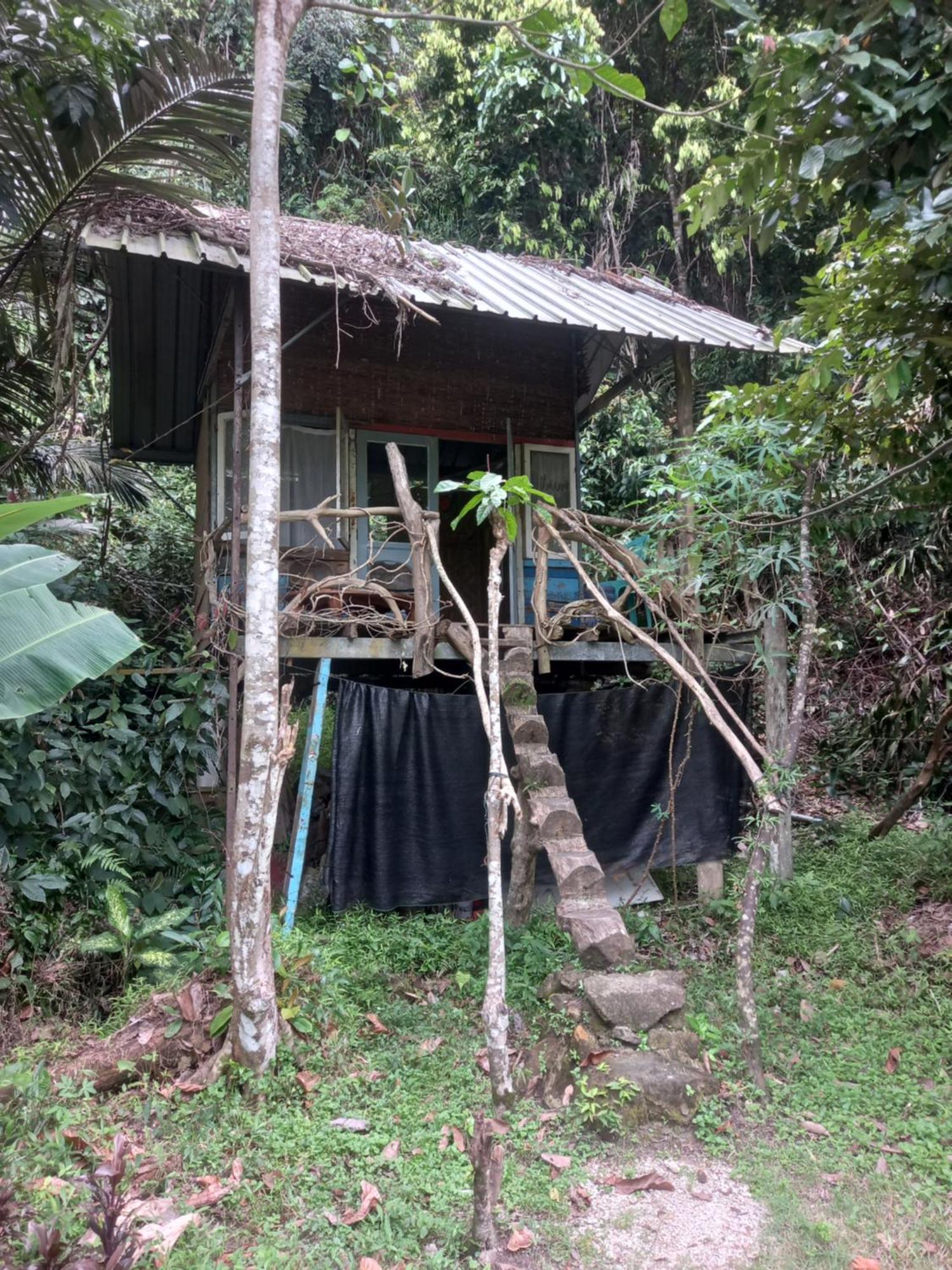Sumatra Ecolodge Sungaipisang Oda fotoğraf
